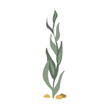 Deniz tabanı Seagrass, Akdeniz deniz hayvanları ve resif yaşam illüstrasyonlar serisinin parçası