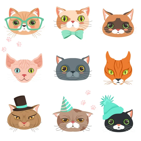 Set di simpatici gatti teste di razze diverse, colorato personaggio vettore Illustrazioni — Vettoriale Stock