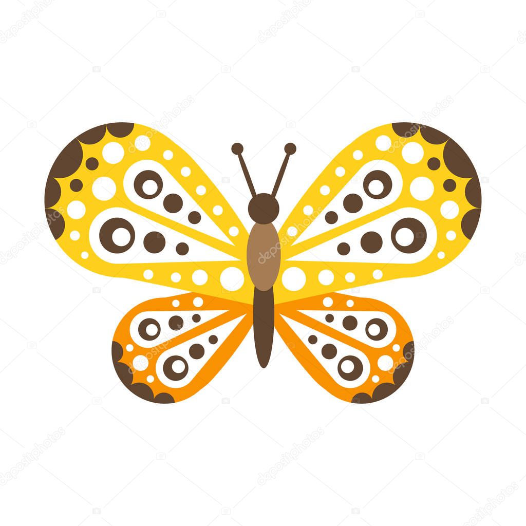 Colorful beautiful butterfly with open wings vector Illustration