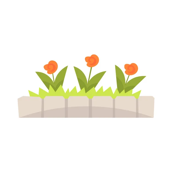 Narancssárga virágok virágágyásba, kő szegélyt vektoros illusztráció — Stock Vector