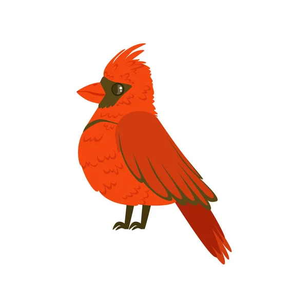 Kleine heldere rode tropische vogel kleurrijke vector illustratie — Stockvector