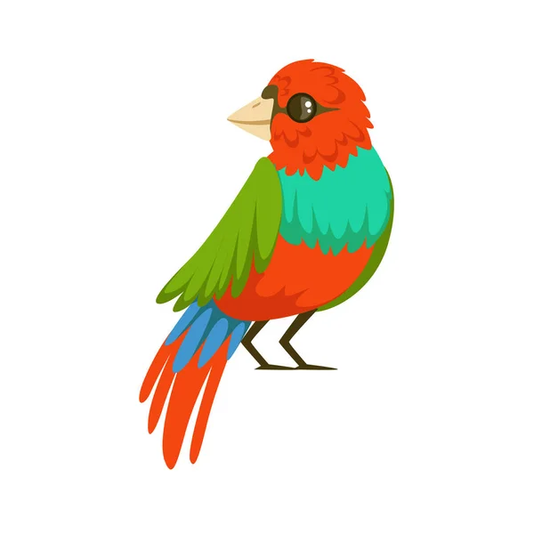 カラフルな熱帯の鳥のベクトル図 — ストックベクタ