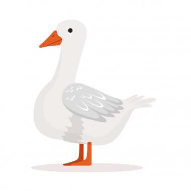 Beyaz aile içi kaz, kümes hayvanları yetiştiriciliği illüstrasyon vektör