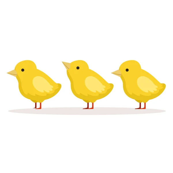 Drei niedliche Hühner, die nacheinander stehen Vektor Illustration — Stockvektor