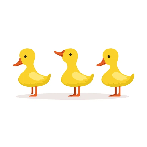 Üç sevimli çizgi ördek yavrusu karakterler birbiri ardına ayakta illüstrasyon vektör — Stok Vektör