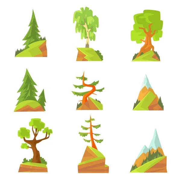 针叶和落叶树集。与各种自然景观树木炫彩矢量插图 — 图库矢量图片