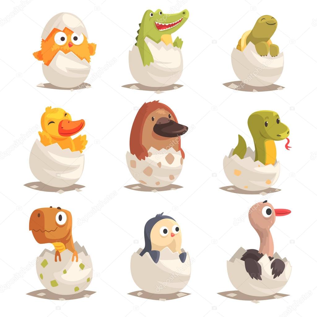 Chicks and reptiles hatch from eggs set, unborn animals vector Illustrations