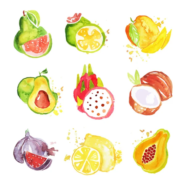 Sada tropické ovoce akvarel barevné vektorové ilustrace — Stockový vektor