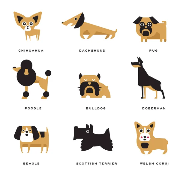 Olika hundar raser tecken uppsättning vektor illustrationer och bokstäver rasen på engelska — Stock vektor