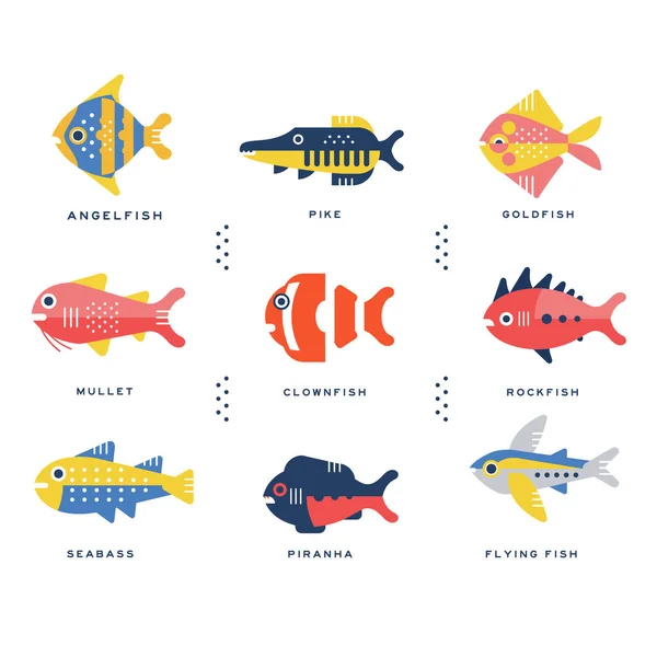 Coleção de peixes marinhos e oceânicos e nome de letras em vetor inglês Ilustrações — Vetor de Stock