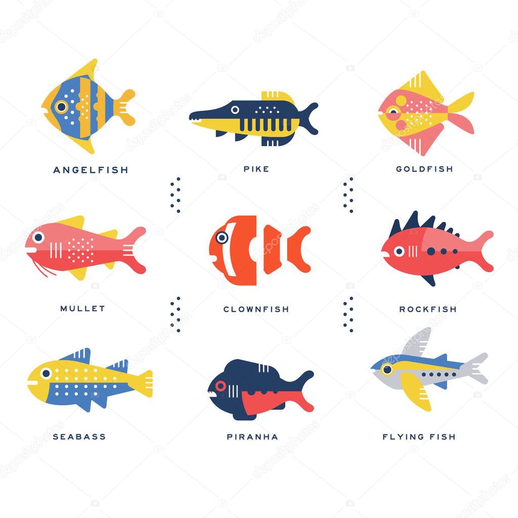 Imágenes animales marinos nombres e Colección de mar y