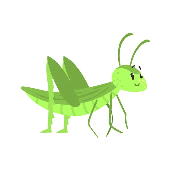Grüne Heuschrecke Charakter — Stockvektor