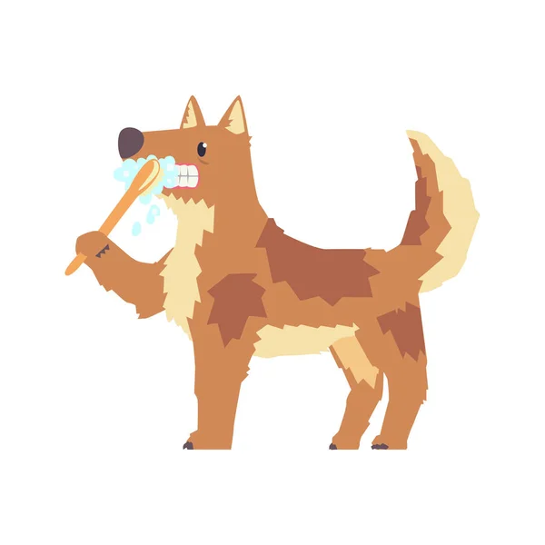 सुंदर कार्टून कुत्ता दांत ब्रशिंग — स्टॉक वेक्टर