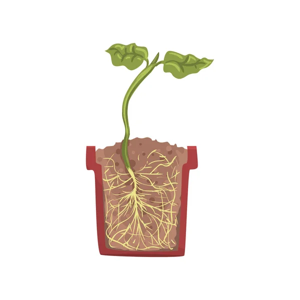 Grön växt som växer i en kruka — Stock vektor