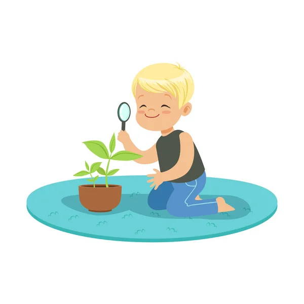 Petit garçon heureux mignon examinant une plante à travers une loupe, leçon de botanique à la maternelle dessin animé vecteur Illustration — Image vectorielle