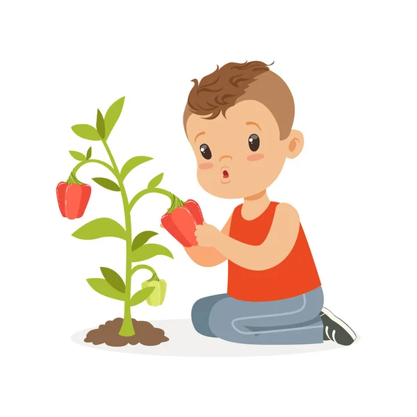 Lindo niño recogiendo pimienta, niño jugando en el concepto de jardín vector colorido Ilustración — Archivo Imágenes Vectoriales