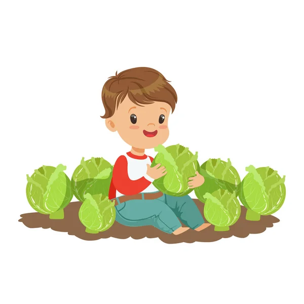 Cute little boy playing with cabbage in the garden, kids healthy food concept colorful vector Illustration — Stock Vector