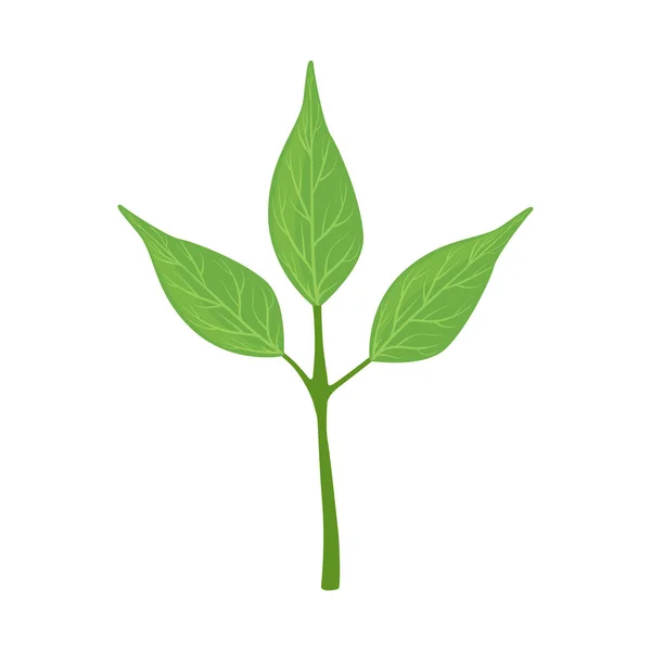 Листя зеленого дерева Векторні ілюстрації — стоковий вектор