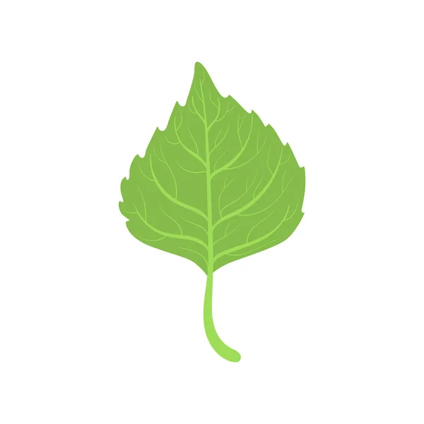 Березове дерево зелене листя Векторні ілюстрації — стоковий вектор