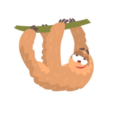 Sevimli çizgi tembellik karakter bir ağaç dalı komik tropikal hayvan vektör çizim üzerinde asılı