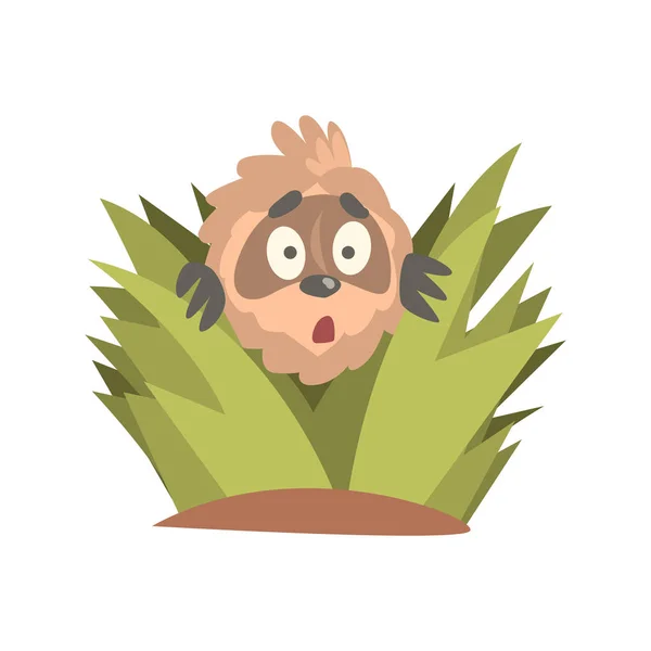 Niedlichen Cartoon erstaunt Faultier-Charakter Blick aus dem Gebüsch, lustige tropische Tier Vektor Illustration — Stockvektor