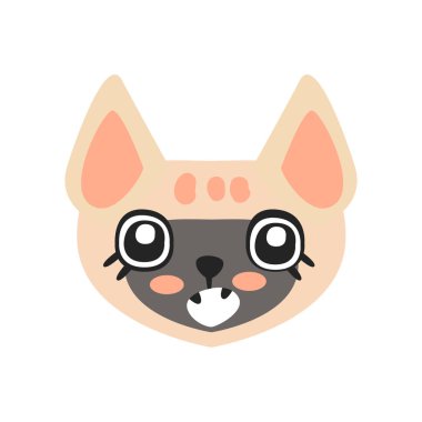 Şirin kedi yavrusu kafa