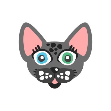 Şirin Gri kedi kafa