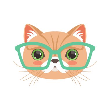 Gözlüklü şirin kedi