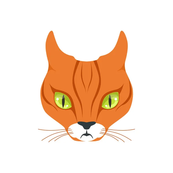 Bellissimo gatto rosso — Vettoriale Stock