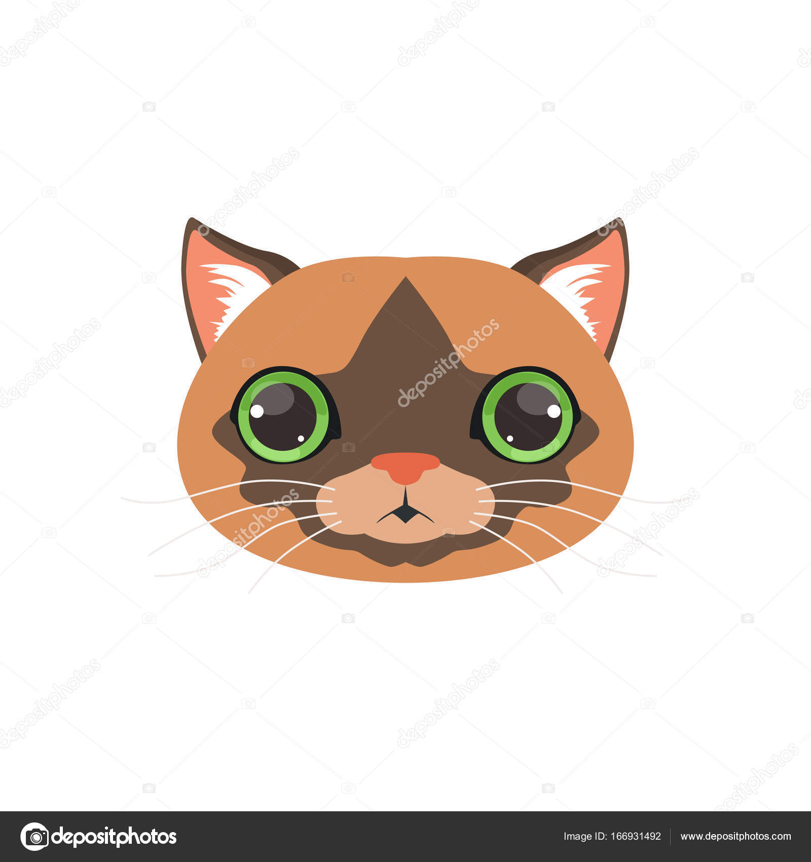 最高のイラスト画像 最新動物 目 イラスト かわいい 最高のイラスト画像 最新動物 目 イラスト かわいい