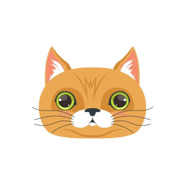 Şirin kahverengi kedi kafa