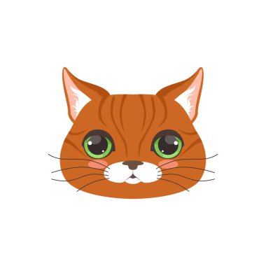 Sevimli kırmızı kedi kafa