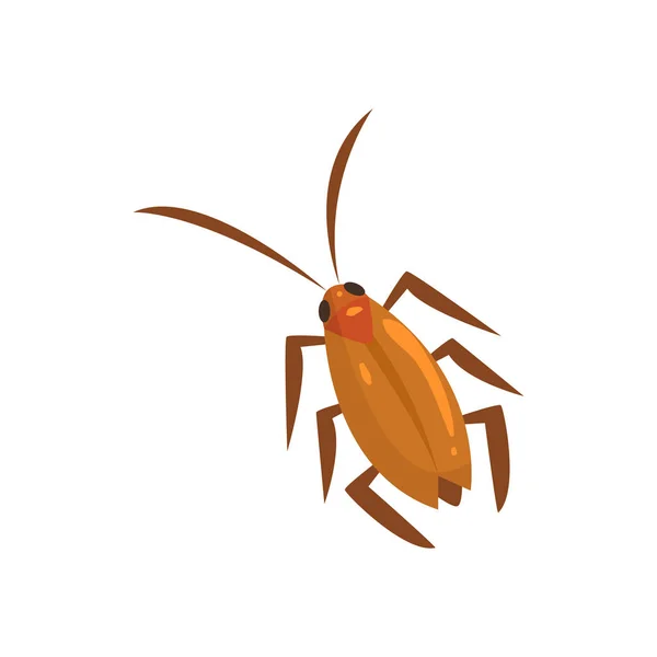 Brown cockroach insect — Stock Vector