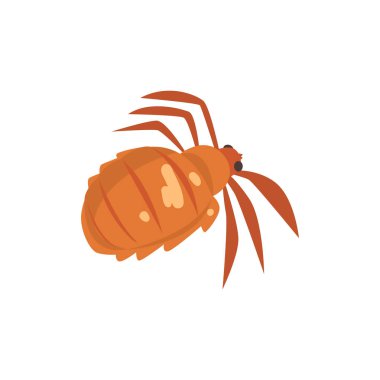 Böcek parazit karikatür vektör çizim kafa biti