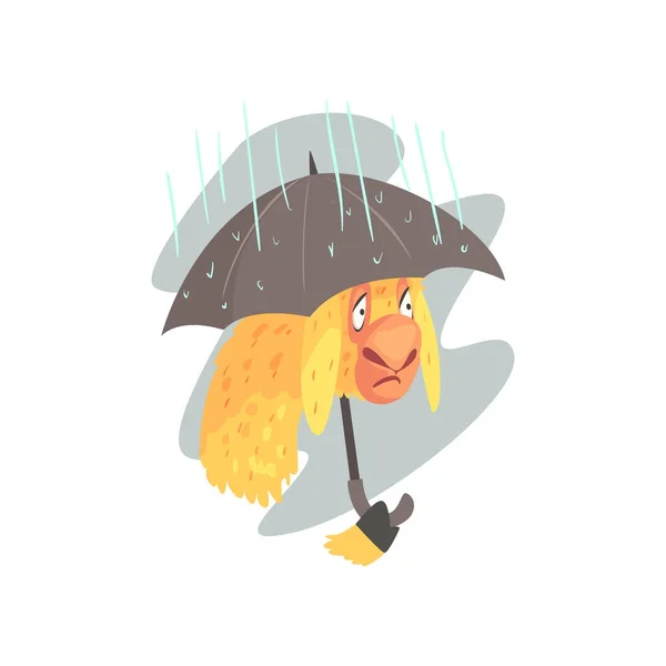 Sad llama character walking with umbrella — Stock Vector