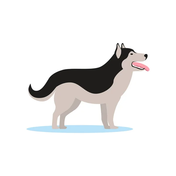 Siberische Husky hond — Stockvector