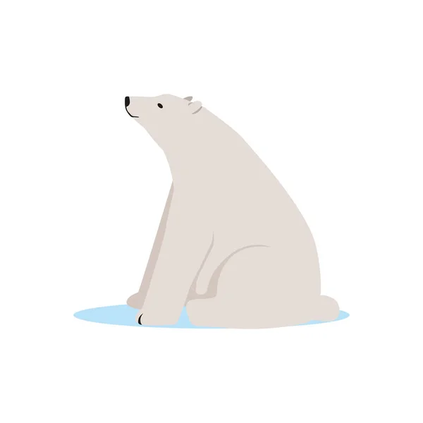 Oso polar blanco animal — Vector de stock