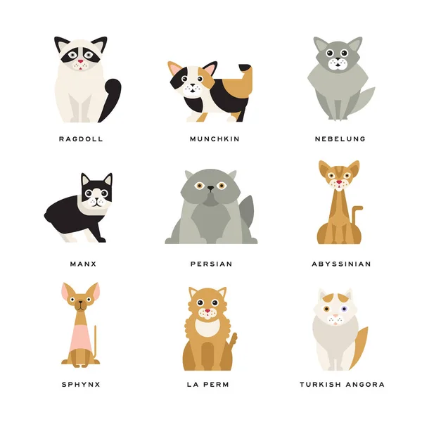 猫のフラット国内品種 — ストックベクタ
