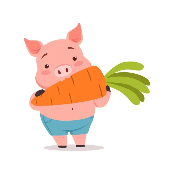 Lindo cerdo comiendo zanahoria, divertido vector animal de dibujos animados Ilustración — Vector de stock
