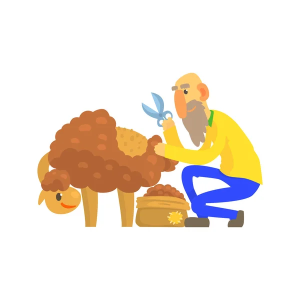Eski koyun yün sheaving çiftçi sakallı — Stok Vektör