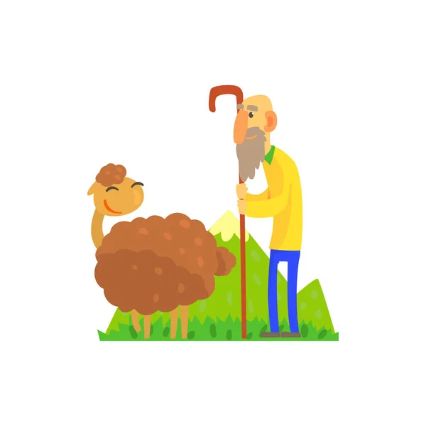 Gammal herde valla fåren på gröna betesmark — Stock vektor