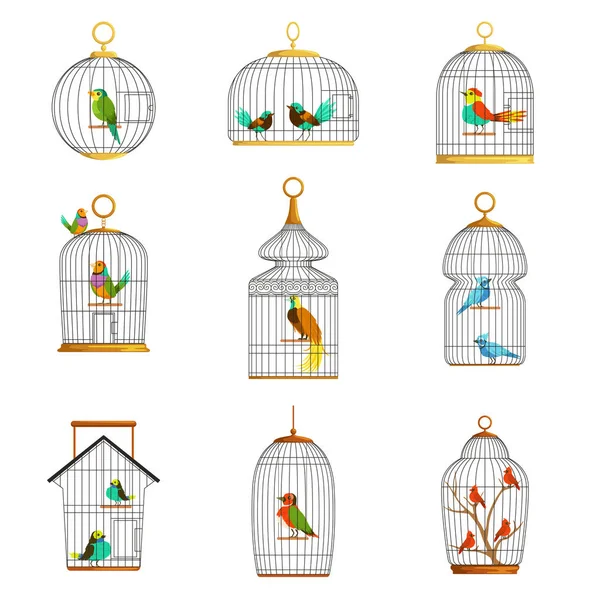Vogelkäfige mit verschiedenen Vogelarten mit Vektorillustrationen — Stockvektor