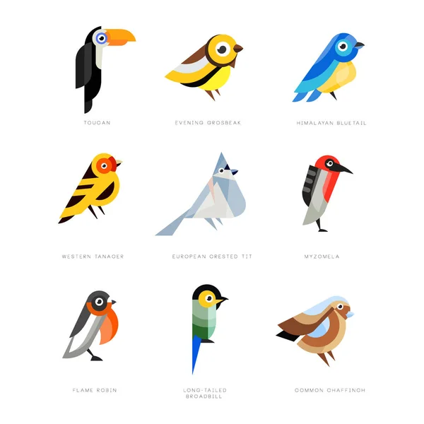 Collectie van vogels, Lila breasted roller, Goudvink, rode-bellied pitta, koolmees, ijsvogel, Noord-kardinaal, bee eter, Mus, prachtig sprookje vector illustraties — Stockvector