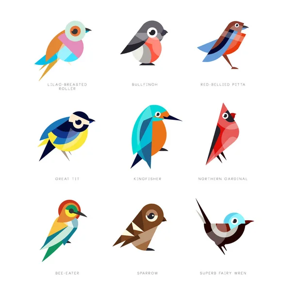 Ensemble d'oiseaux différents, rouleau lilas, chardonneret, pitta à ventre rouge, grand mésange, martin-pêcheur, cardinal nord, mangeur d'abeilles, moineau, superbe vecteur féerique wren Illustrations — Image vectorielle