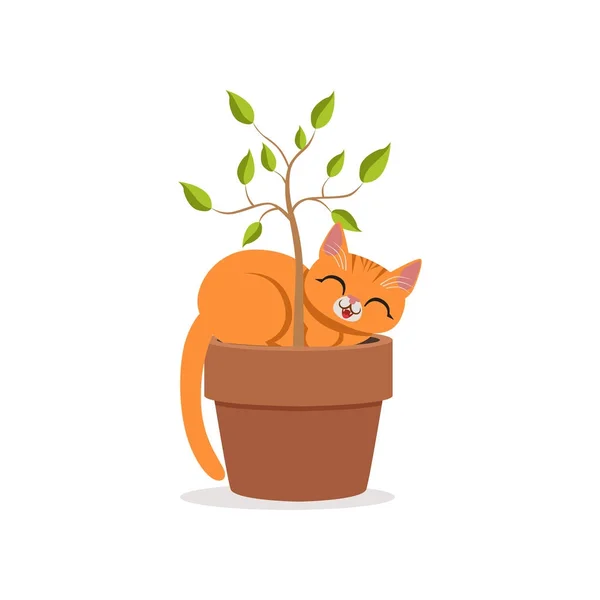 Leuke grappige rode kat slapen in een bloempot met een plant, home huisdier rusten cartoon vector illustratie — Stockvector