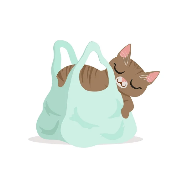 Adorable gato gris durmiendo en una bolsa de compras azul claro, hogar mascota descansando vector de dibujos animados Ilustración — Vector de stock