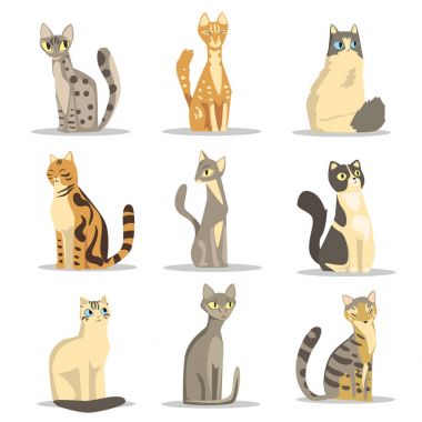 Koleksiyonu farklı kedi doğurmak, şirin evde beslenen hayvan hayvan vektör çizimler