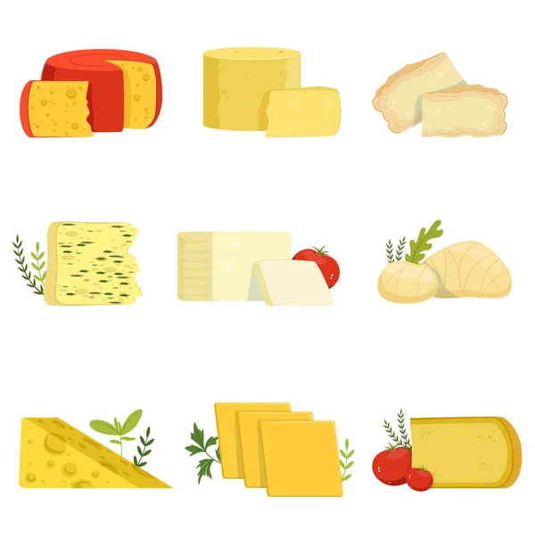 Different types of cheese pieces, popular kind of cheese vector Illustrations — Stock Vector