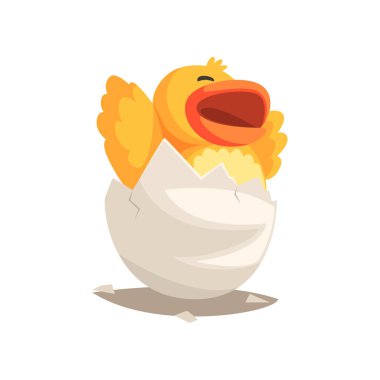 Mutlu ördek yavrusu bebek yumurtadan çıkım