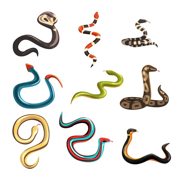 Bunte Sammlung verschiedener Schlangen — Stockvektor